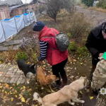 Зображення посту: З Костянтинівки евакуювали сім’ю з трьома собаками та шістьма котам