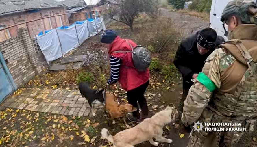 Зображення посту: З Костянтинівки евакуювали сім’ю з трьома собаками та шістьма котам