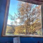 Зображення посту: Мешканці Донецька, Мелітополя та Севастополя провели акцію до Дня Гідності та Свободи