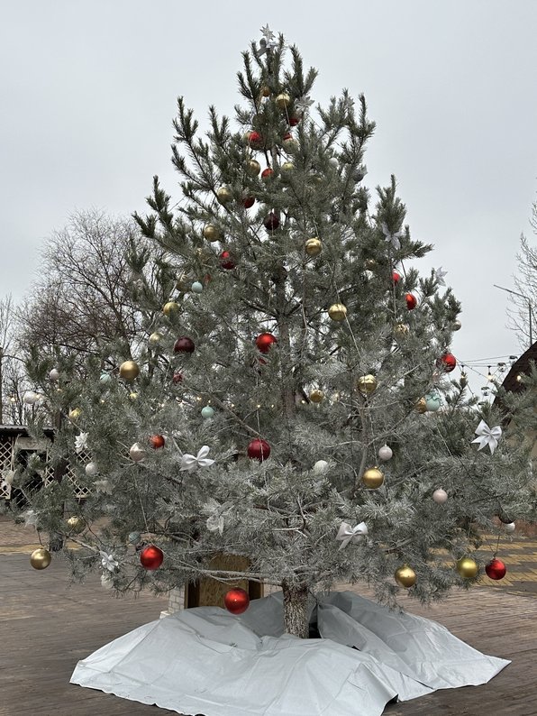 Стаття: У Слов’янську встановили новорічну ялинку: як до свят готуються інші міста