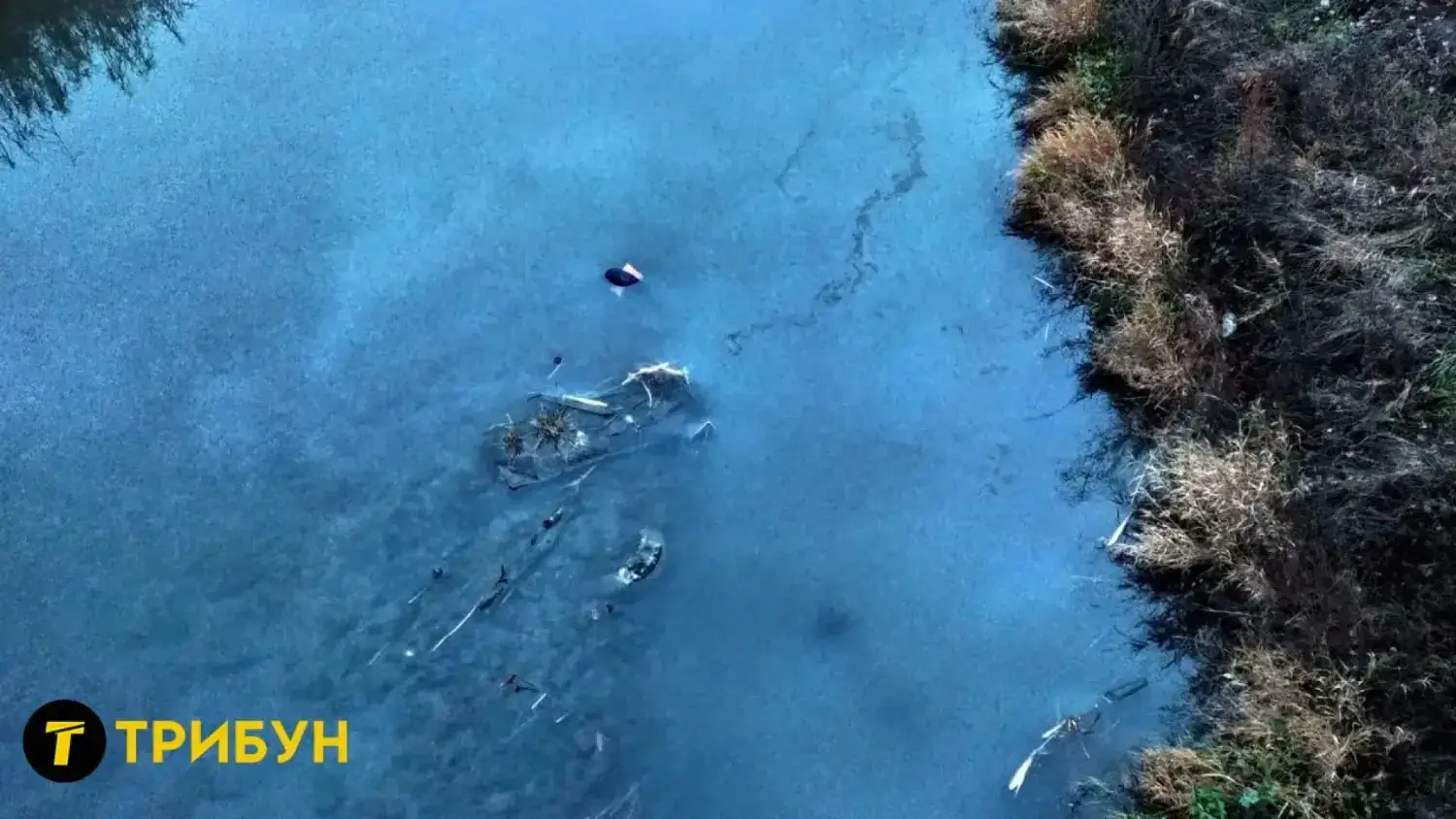 Зображення посту: У Луганську зафіксували масове забруднення річки промисловими відходами