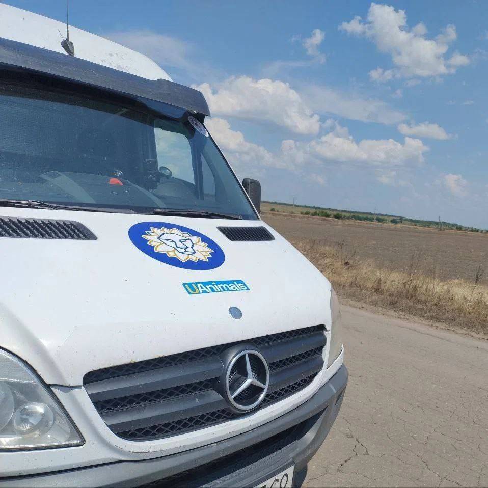 Стаття: На Донеччині російський дрон поцілив по евакуаційному авто UAnimals: поранений собака