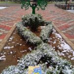 Зображення посту: Українці в окупації святкують Різдво попри заборони