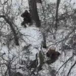 Зображення посту: Воєнний злочин у Покровському районі: окупанти розстріляли двох українських військових