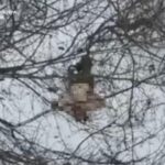 Зображення посту: Воєнний злочин у Покровському районі: окупанти розстріляли двох українських військових