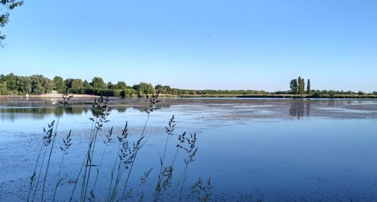 Стаття: У Луганську зафіксували масове забруднення річки промисловими відходами