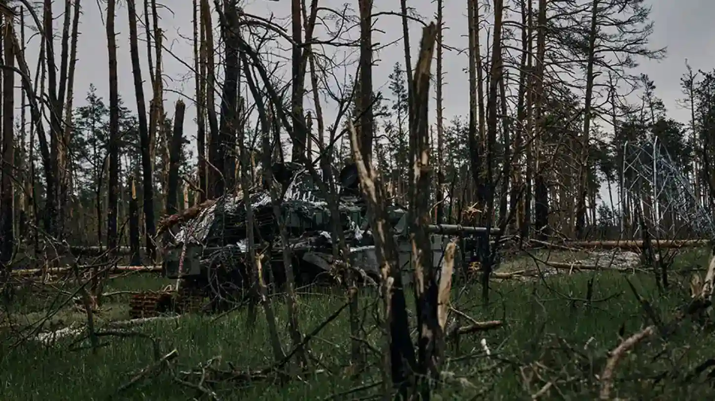 Стаття: Російські окупанти знищили єдиний національний парк Луганщини — «Кремінські ліси»