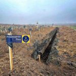 Зображення посту: «Розмах нових траншей для поховань шокує на третій рік окупації»: у Маріуполі з’явилися нові місця масових поховань