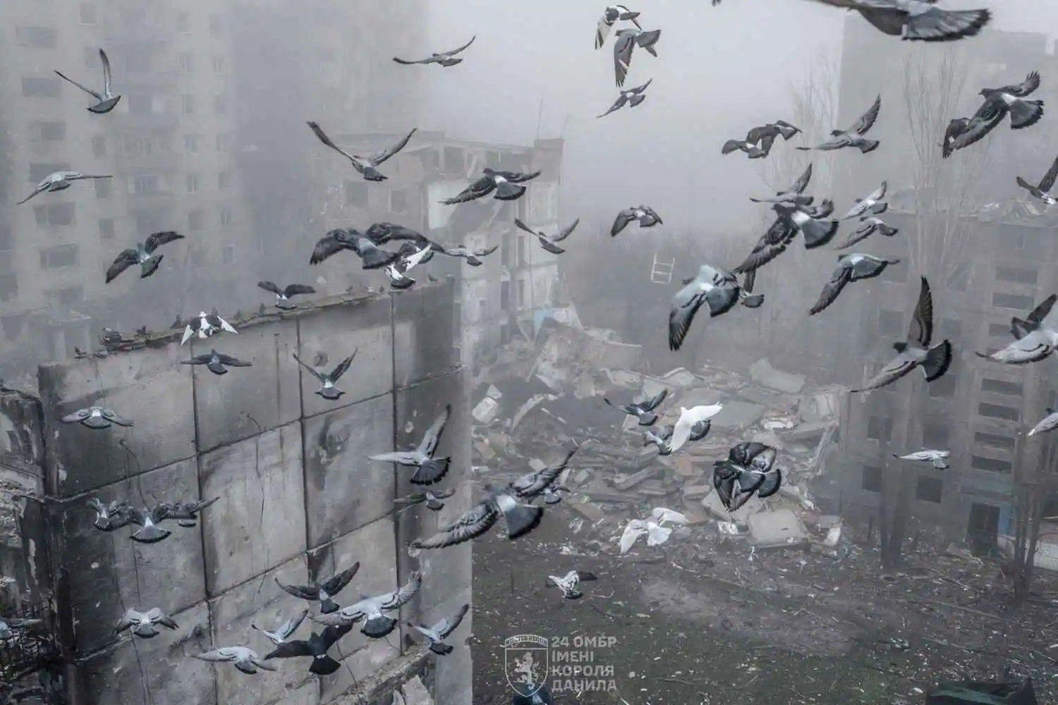 Стаття: «Залишилися лише фундаменти»: у 24 ОМБр оприлюднили фото з Костянтинівки