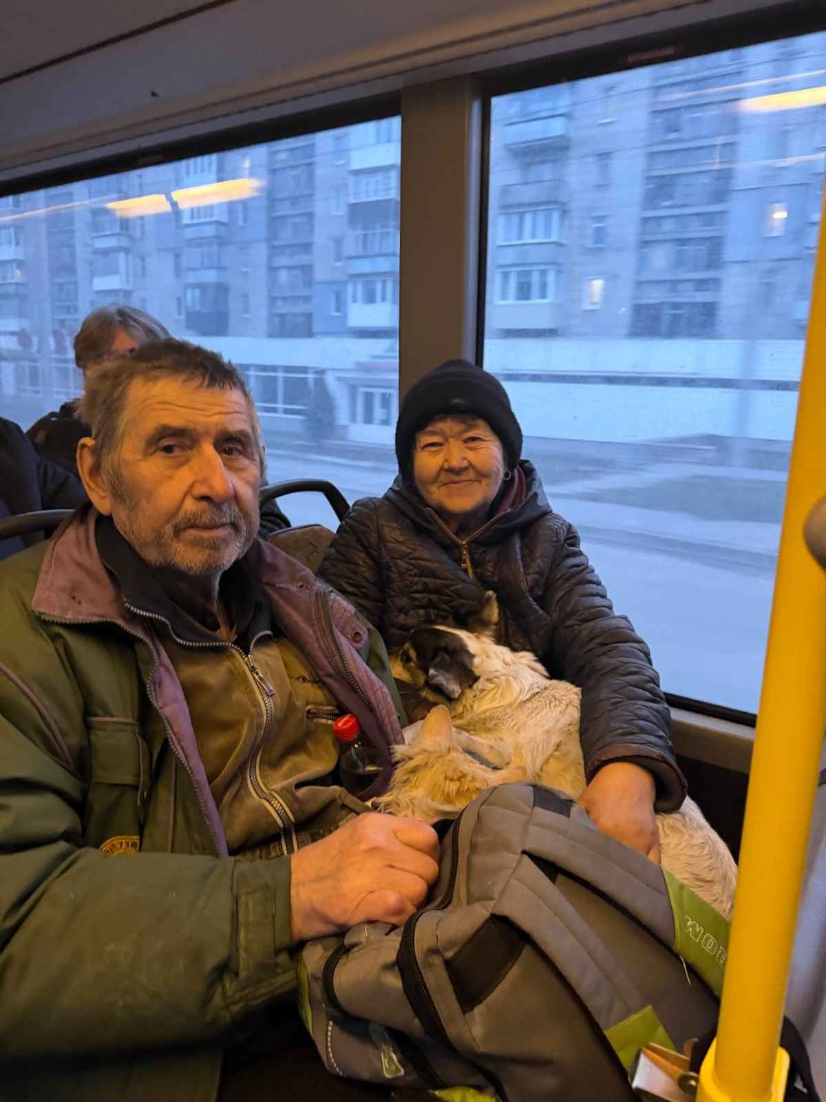Зображення посту: Не евакуйовувалися, бо ніде не приймали з тваринами: сім’я пішки вийшла з Костянтинівки