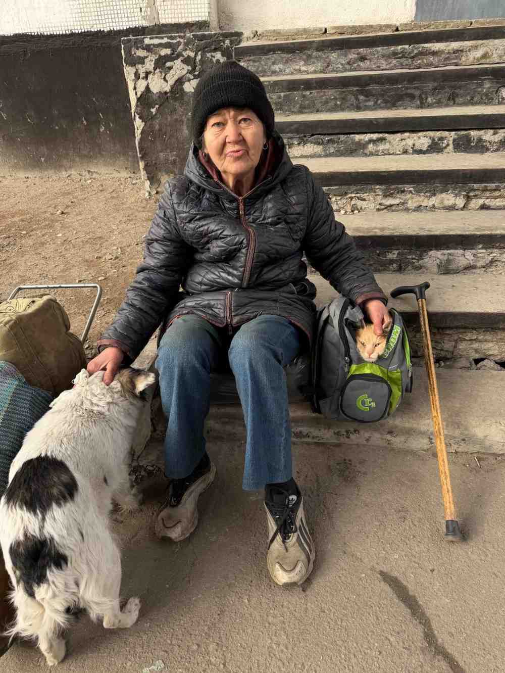 Зображення посту: Не евакуйовувалися, бо ніде не приймали з тваринами: сім’я пішки вийшла з Костянтинівки