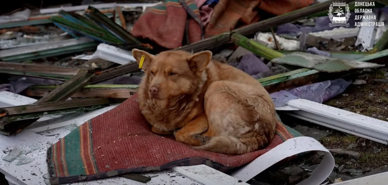 Зображення посту: У Краматорську після удару РФ поранені 8 людей, серед них —  5-річний та 14 річний хлопчики