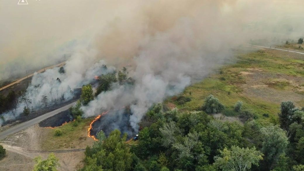 Стаття: Найбільше постраждали заповідники: збитки довкіллю України сягнули 6,4 трильйона гривень