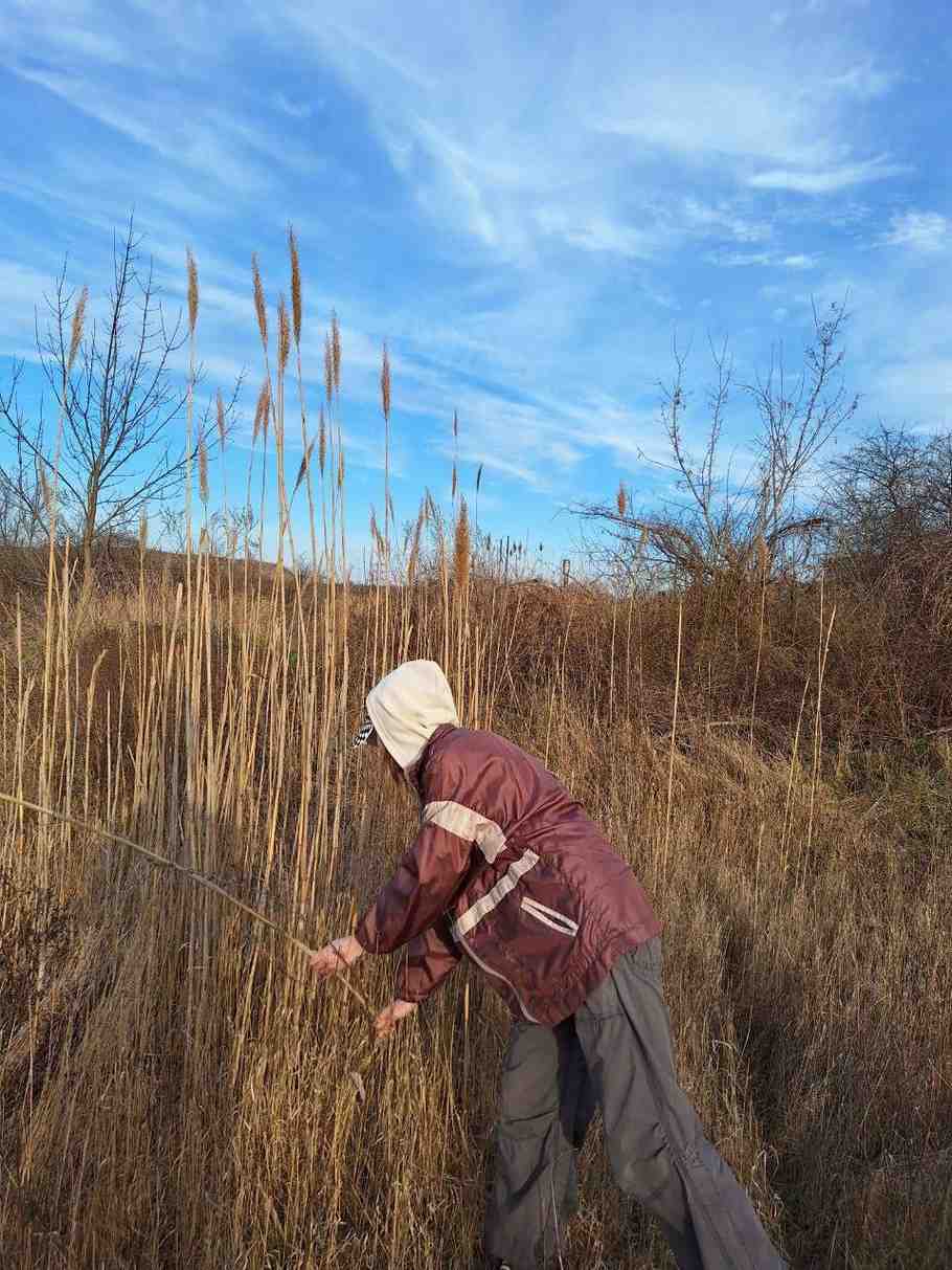 Зображення посту: «Втрачала юність через виживання»: як молодь виїжджає з окупації і з чим стикається в Україні
