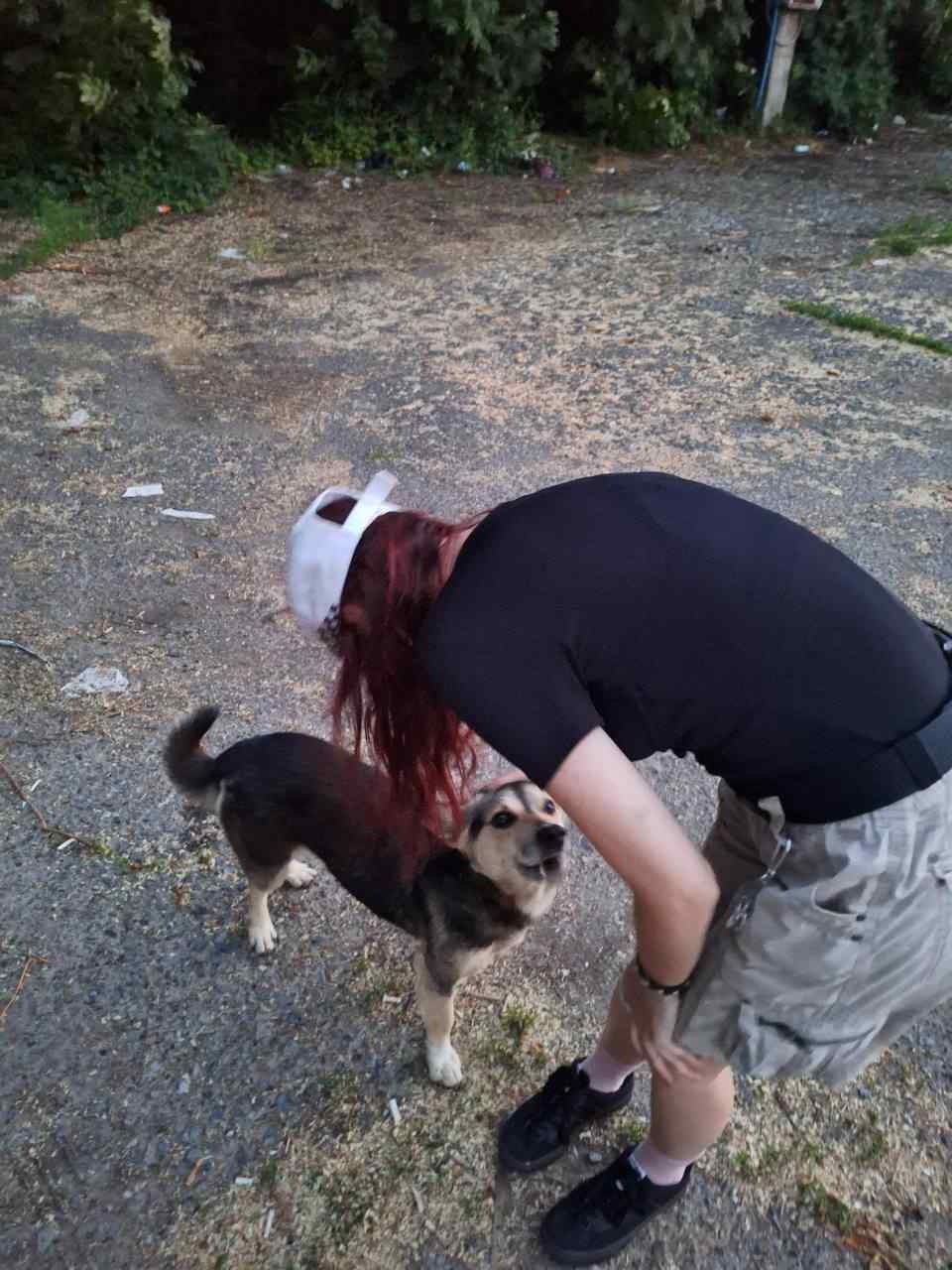 Зображення посту: «Втрачала юність через виживання»: як молодь виїжджає з окупації і з чим стикається в Україні