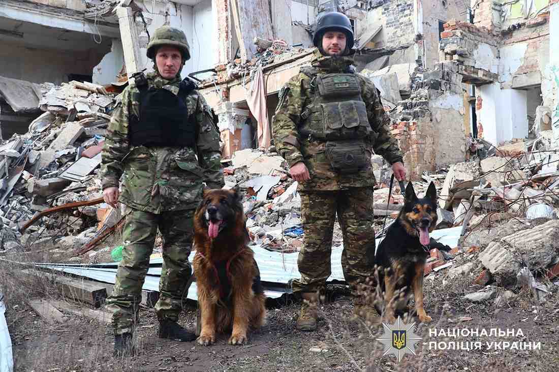 Стаття: Службові собаки допомогли розкрити 82 злочини на Донеччині