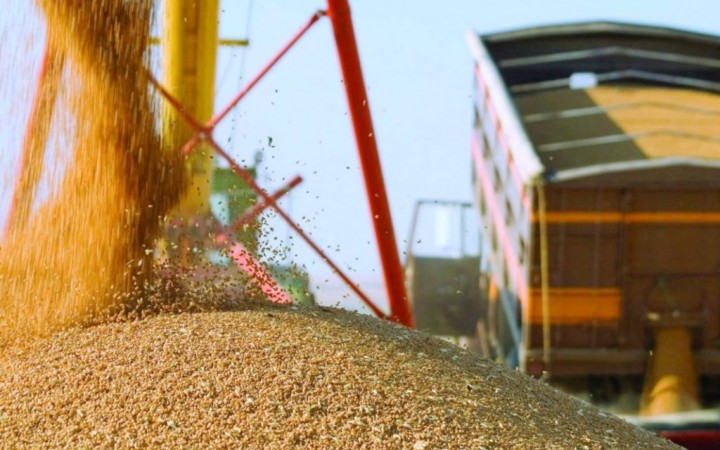 Стаття: Попри заклик України Ізраїль не затримав російське судно із пшеницею з окупованих територій