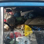 Зображення посту: Переселенцю з Донеччини, який віз «усе життя в машині», подарували новий пікап