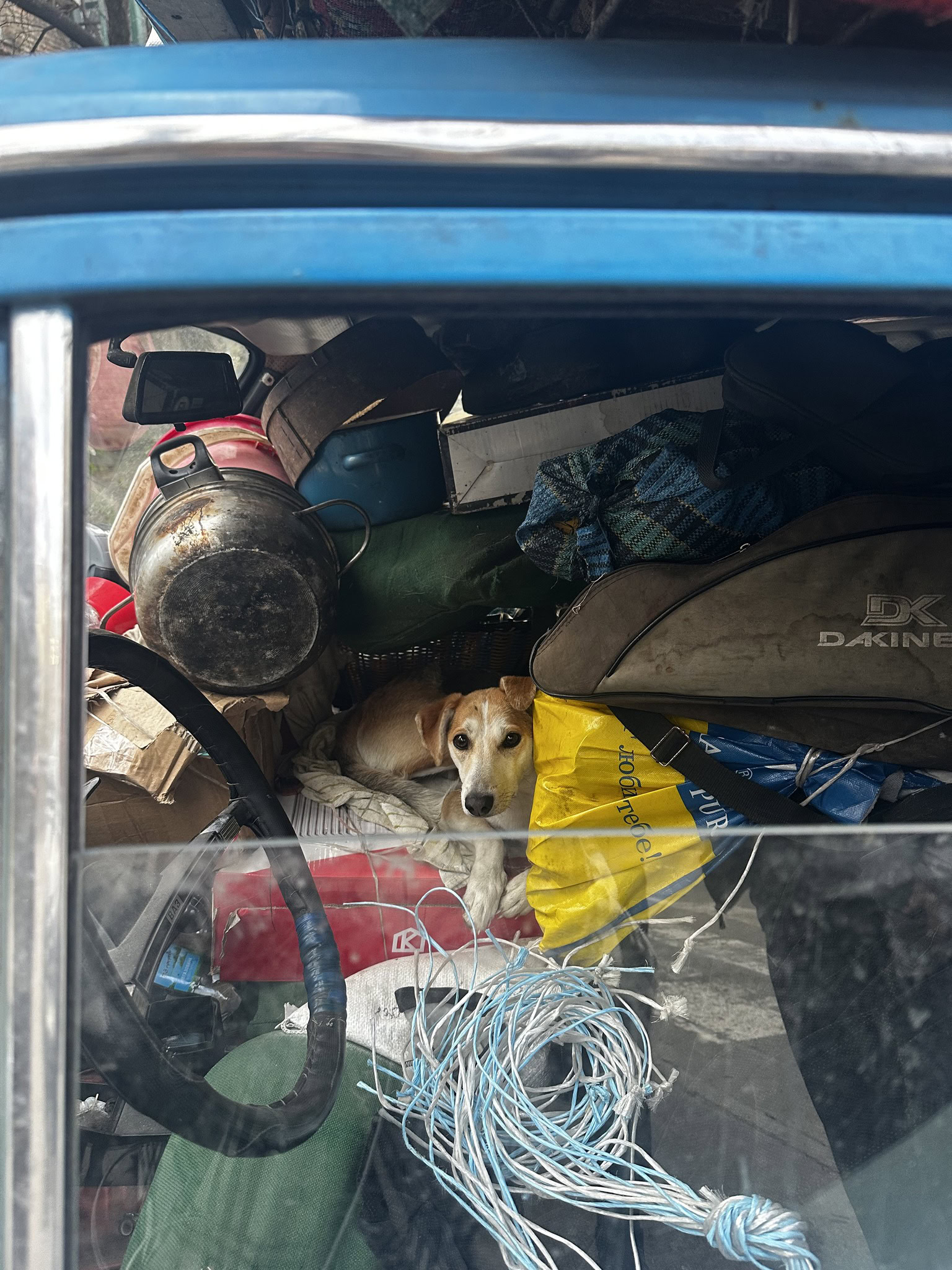 Зображення посту: Переселенцю з Донеччини, який віз «усе життя в машині», подарували новий пікап