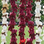 Зображення посту: У США відкрили інсталяцію з 20 тисяч плюшевих ведмедиків на підтримку викрадених українських дітей