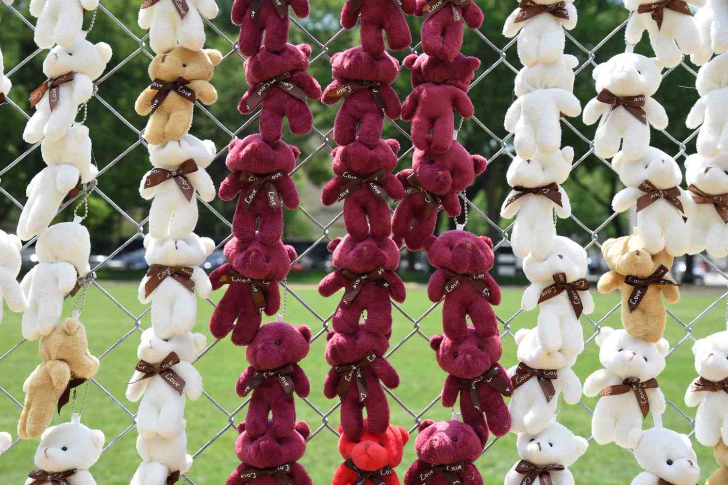 Стаття: У США відкрили інсталяцію з 20 тисяч плюшевих ведмедиків на підтримку викрадених українських дітей
