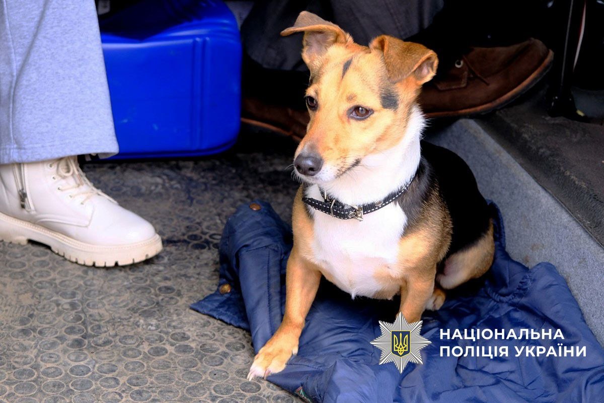 Зображення посту: З Краматорського району вивезли 27 людей через наближення фронту