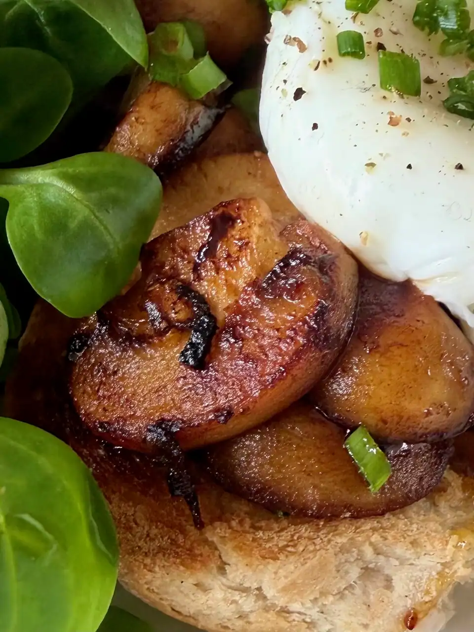 close up - mushrooms and poached egg