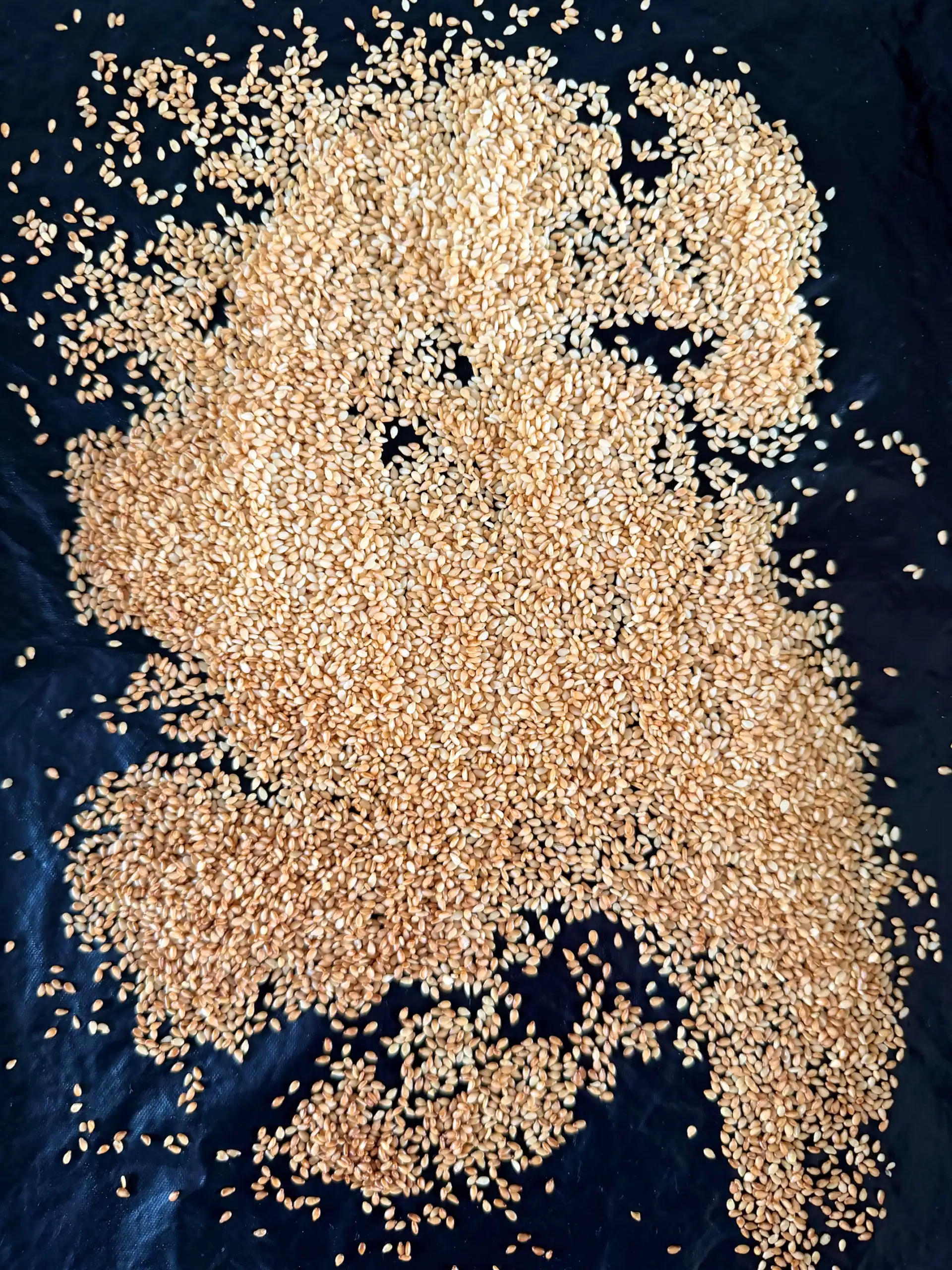 toasted sesame seeds on a tray