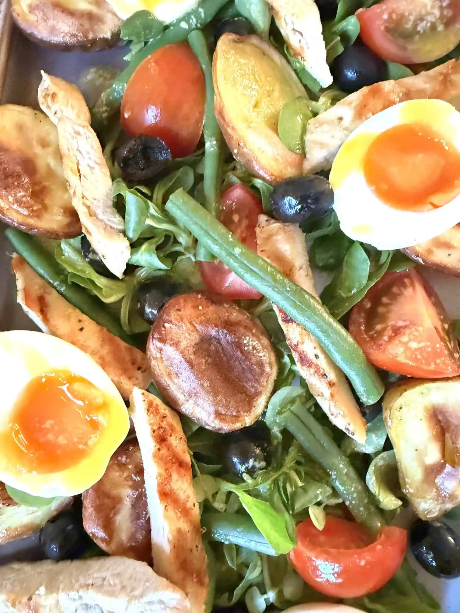 close up of nicoise salad