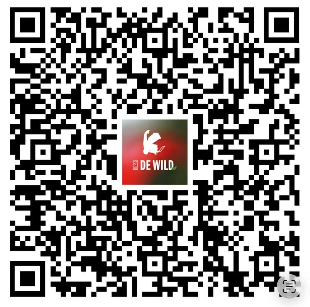 QR Dwild china