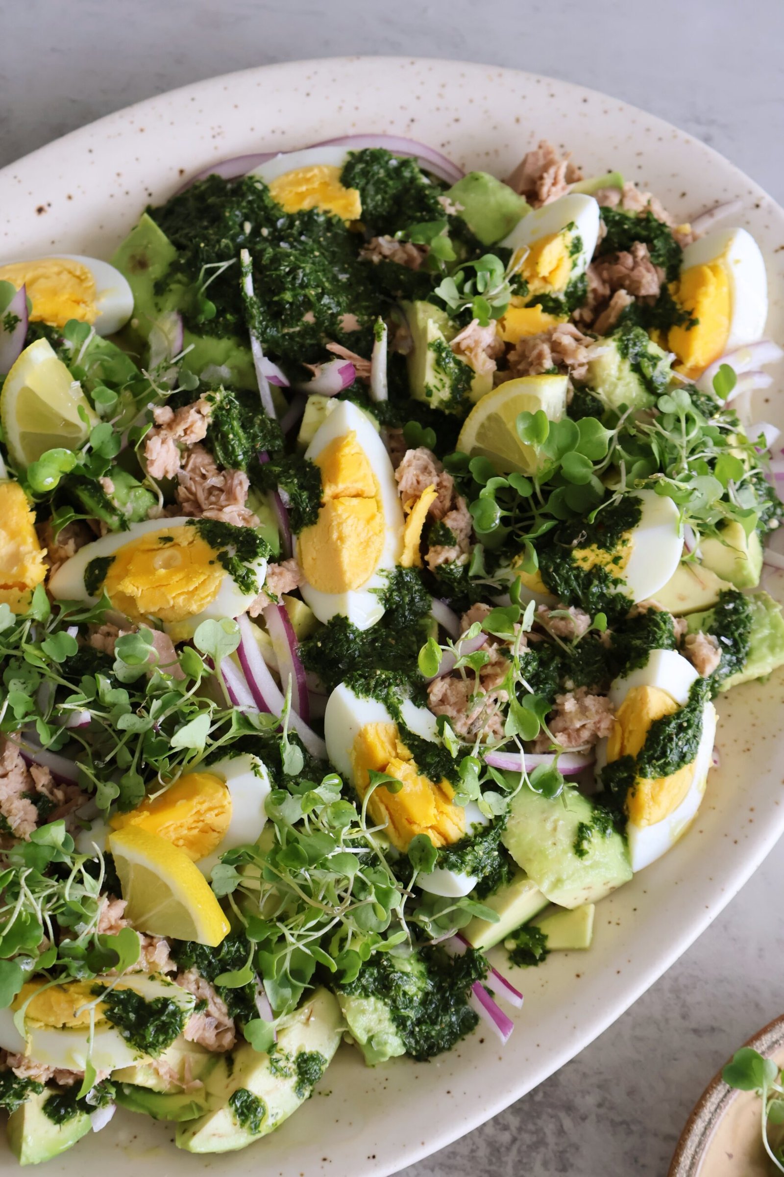 Avocado tuna salad topped with herbs and served in a bowl