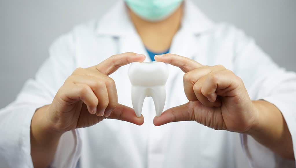 Dentista Paderno Dugnano