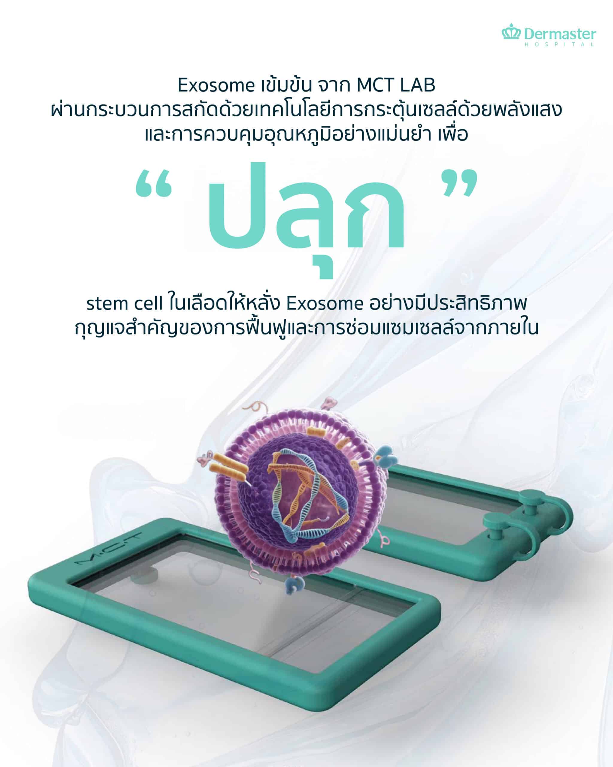 อยากผิวเด็กลง? MCT Exosome ช่วยฟื้นฟูถึงระดับเซลล์