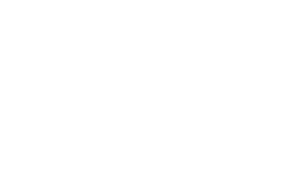Punch Software