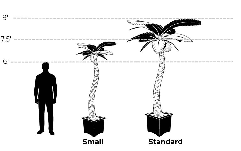 Small and standard palm trees in decorative pots, perfect for enhancing outdoor or indoor spaces wit.
