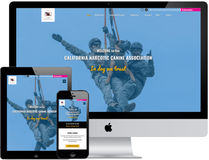 web designer sample