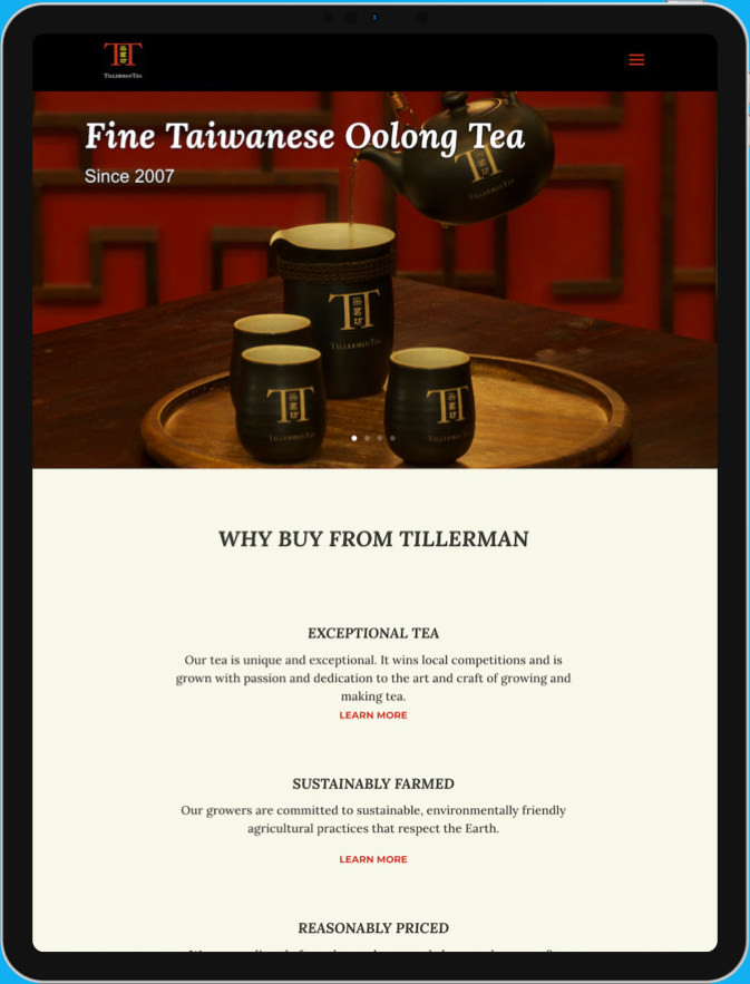 web designer sample