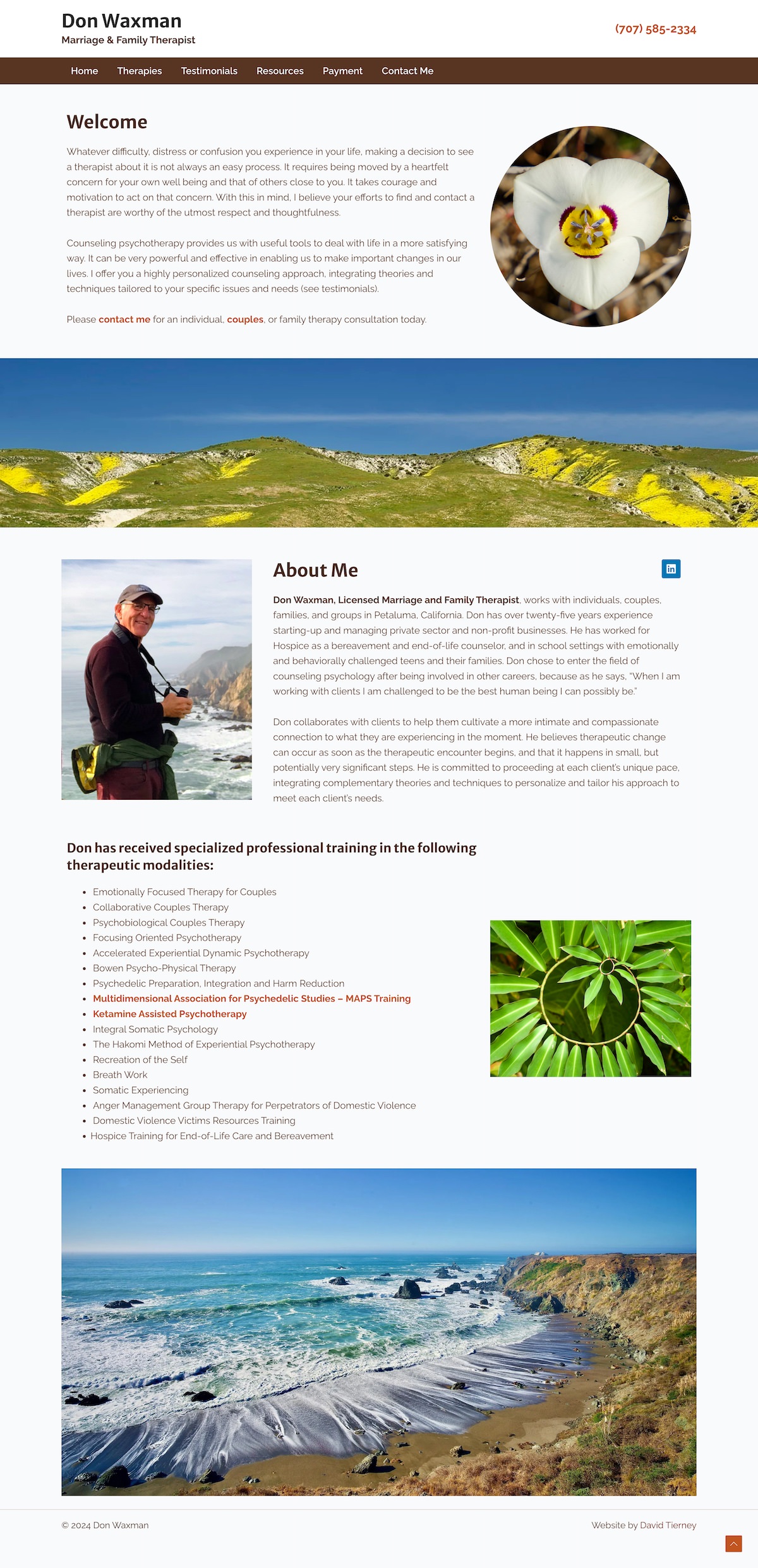 Therapist Don Waxman's Website Design