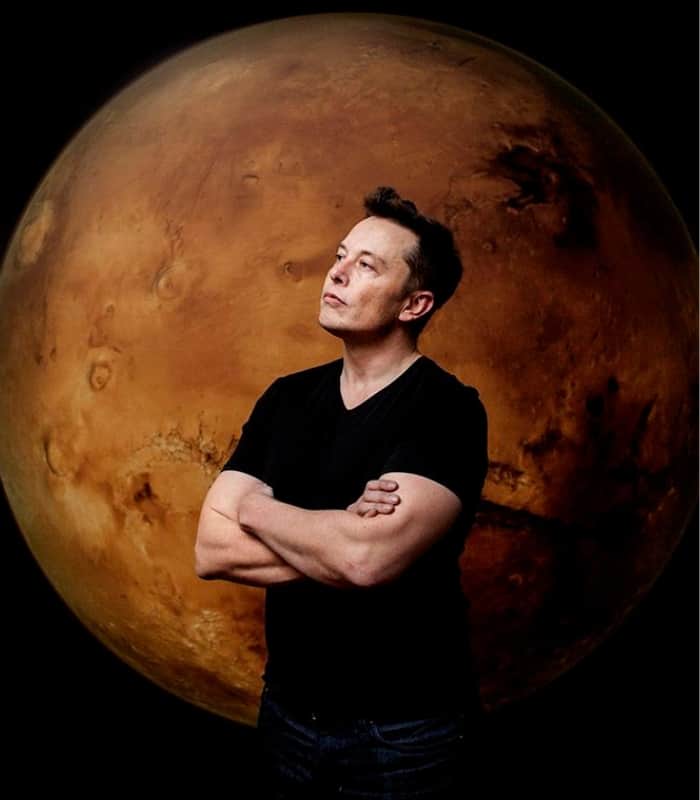 Elon Musk MARS Wall Art