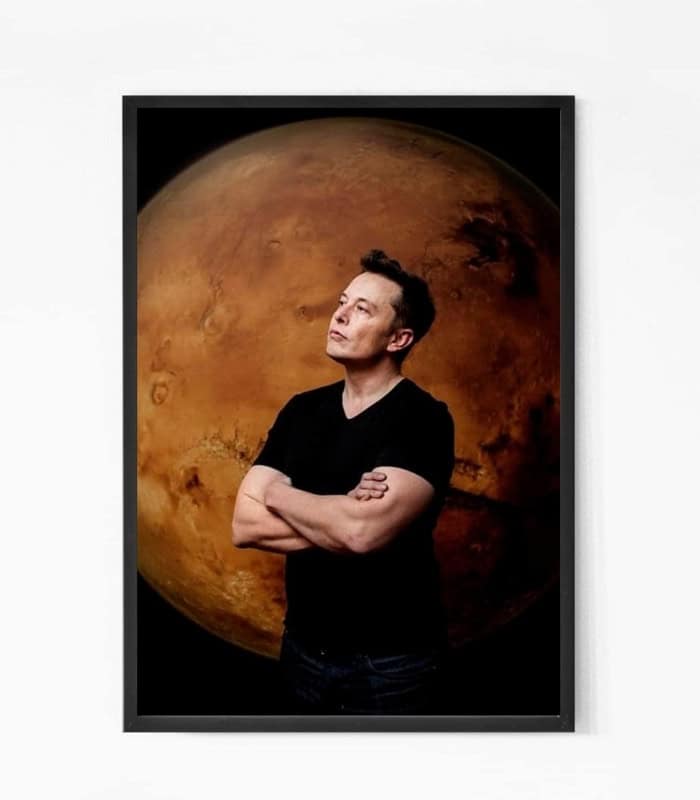 Elon Musk MARS Wall Art