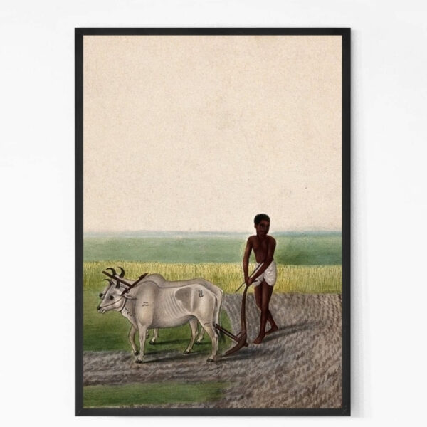 A Man Ploughing Land with Oxen painting Wall Art
