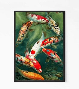 Enchanting Koi Fish Wall Poster