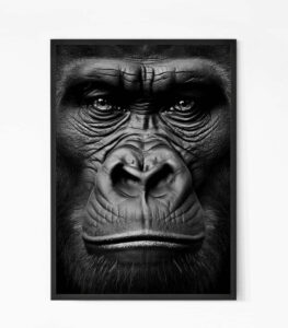Gorilla Wall art