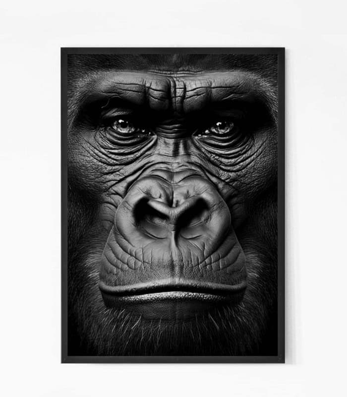 Gorilla Wall art