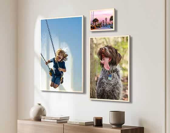 Desiwall vs Pepperfry wall art