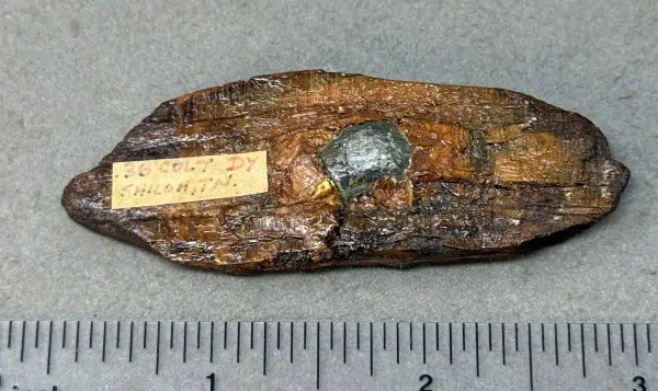 Ancient stone tool with a metal attachment, displayed on a gray background with measurement scale.