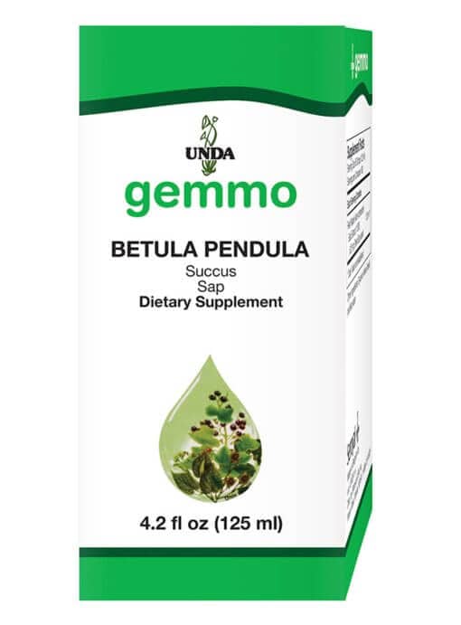 Betula Pendula (Sap)