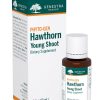 PHYTO-GEN Hawthorn Young Shoot - A gemmotherapy dietary supplement for cardiovascular support.
