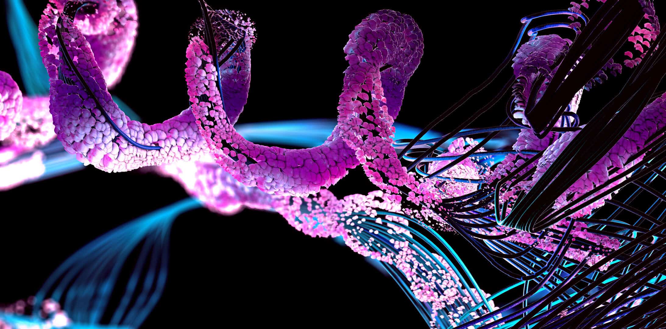 Exploring the World of Peptides for Health