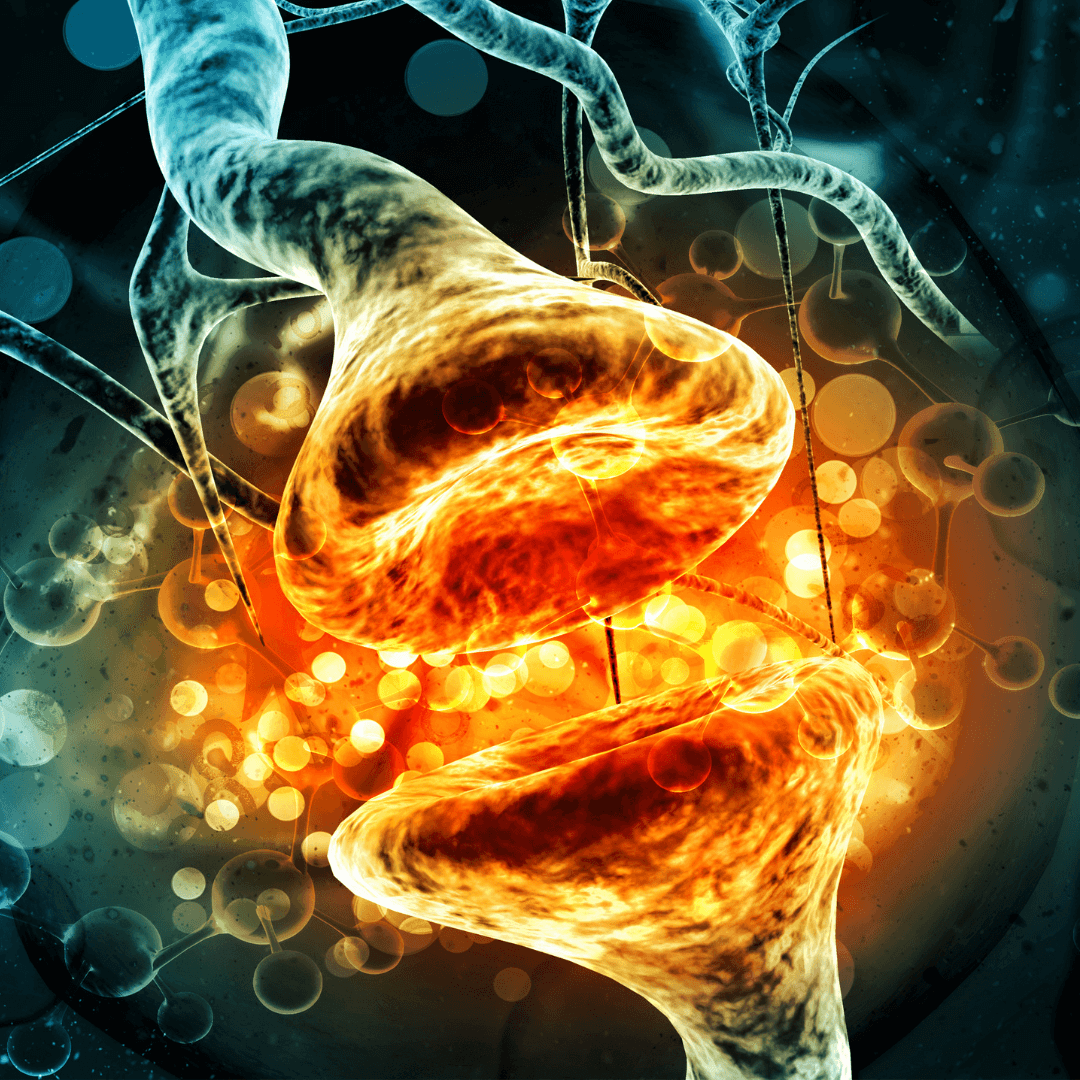 Ícone ilustrando a ação do DHT Blocker no bloqueio do hormônio DHT, a principal causa da calvície.